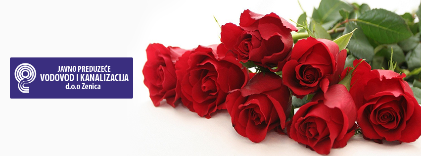 ČESTITKA: 8. Mart – Međunarodni dan žena